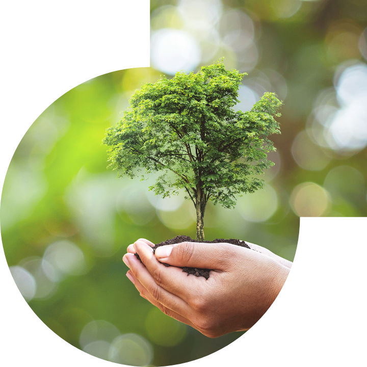 关怀人类、文化、环境与社会